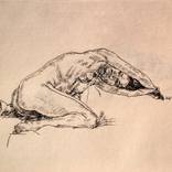 Young nude model - Ink on paper drawing #01 by SUNSHINE ART