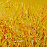 Collection The Poets