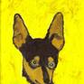 miniature pinscher