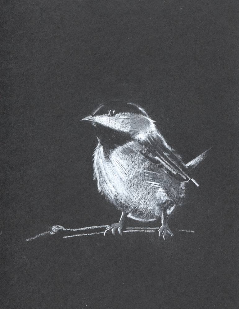 On black paper I. Periparus ater. Drawing by Mariano Luque Romero