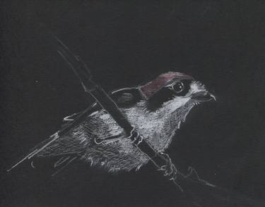 Print of Figurative Animal Drawings by Mariano Luque Romero