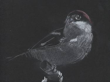 Original Figurative Animal Drawings by Mariano Luque Romero