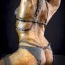 Vixen close up rear view