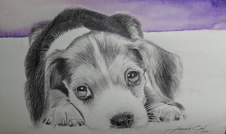 cute puppy sketch