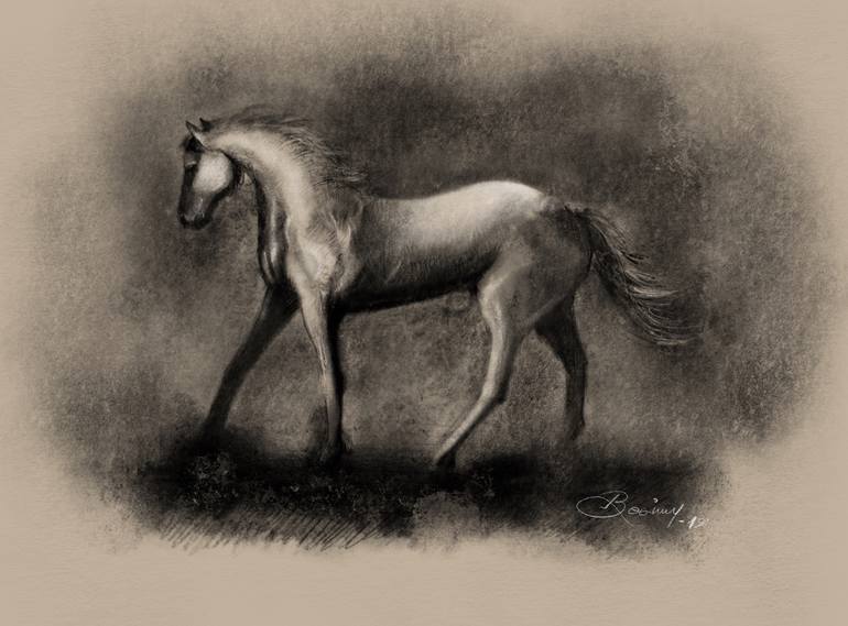 Print of Horse Drawing by Besim Dauti