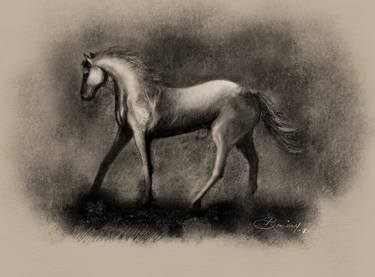 Print of Abstract Horse Drawings by Besim Dauti