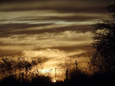 Desert Evening thumb