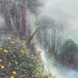 The Sierra Nevada waterfall in the Colombian Amazon by Claude Feuillet