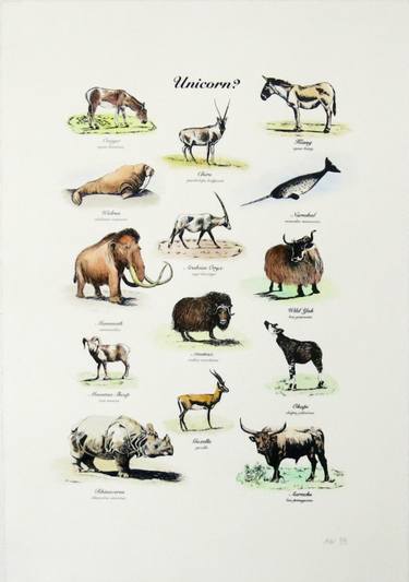 Original Illustration Animal Printmaking by Anna Walsh