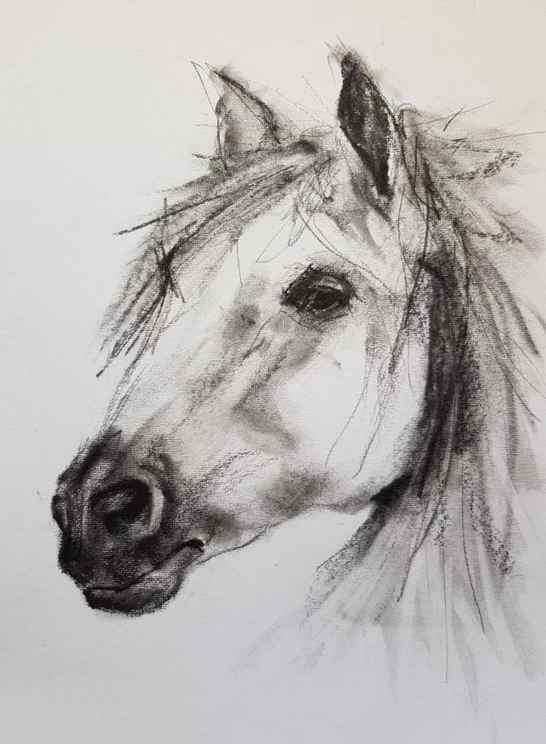 Horse face Drawing by Johan De Waal | Saatchi Art