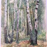 birches by Mykola Muravskiy