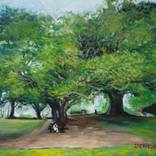 Couple under Big Tree by Yeung Ka Yan