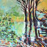 RIPPLES ON THE POND by Janak Narayan