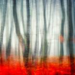 AUTUMN - Limited Edition of 1 by Dmitry Kulpanovich
