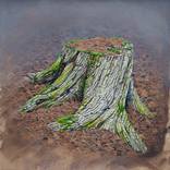 New Growth by Duane Nickerson