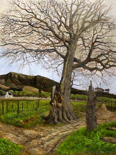 Original Fine Art Landscape Paintings by Damian Osborne