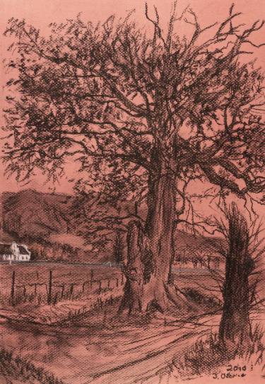 Original Fine Art Landscape Drawings by Damian Osborne