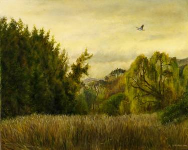 Print of Fine Art Landscape Paintings by Damian Osborne