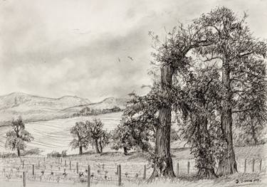 Print of Fine Art Landscape Drawings by Damian Osborne