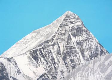 Print of Realism Nature Paintings by Andy Shaw