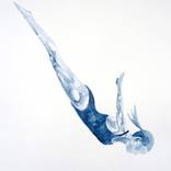 Dive by Andy Shaw