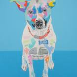 Juno by Andy Shaw