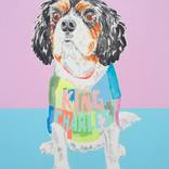 King Charles Spaniel by Andy Shaw