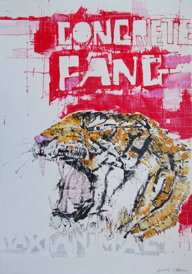 Print of Fine Art Animal Drawings by Andy Shaw