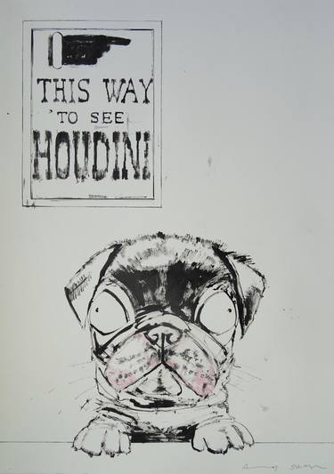 Harry Houdini the Pug Dog thumb