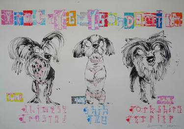Tracey Emin the Chinese Crested, Grayson Perry the Shih Tzu, Damien Hirst the Yorkshire Terrier Dogs thumb