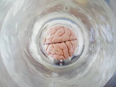 Brain Sculpture, Cerebrate thumb