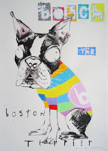 Bosch the Boston Terrier Dog thumb