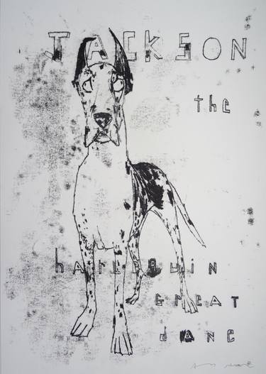 Jackson the Harlequin Great Dane Dog thumb