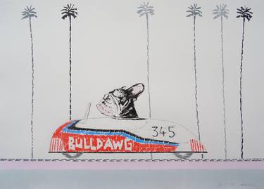 French Bulldog Cruising Down The Boulevard thumb