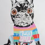 Collection animals
