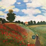 Poppy Field by Evgenia TS