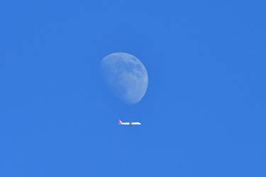 UNDER THE MOON, Turkish Airlines, THY thumb