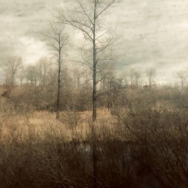 Original Landscape Photography by Adriano Nicoletti