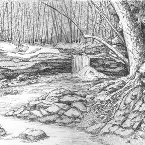 Collection Pen & Ink