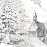 Collection Pen & Ink