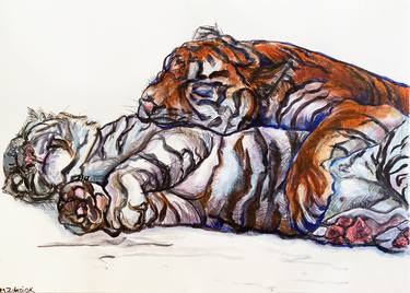 Sleeping tigers | study thumb
