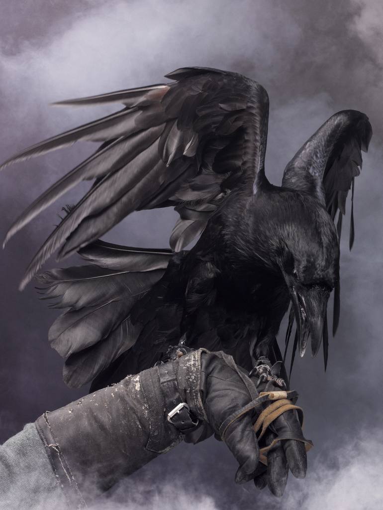 mythological raven art