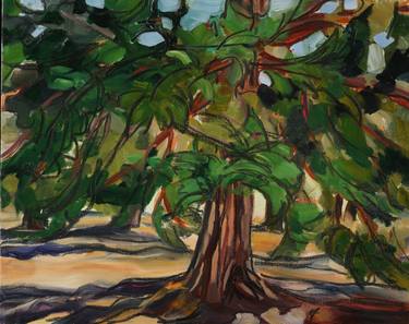 Cedar Tree Paintings Saatchi Art