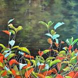 Riverside Lady Bug by Diane Daigle