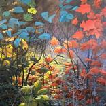 Forest Floor Light by Diane Daigle