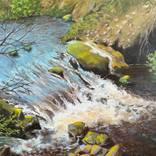 Cool Dippings by Diane Daigle