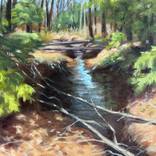 Meandering Water by Diane Daigle
