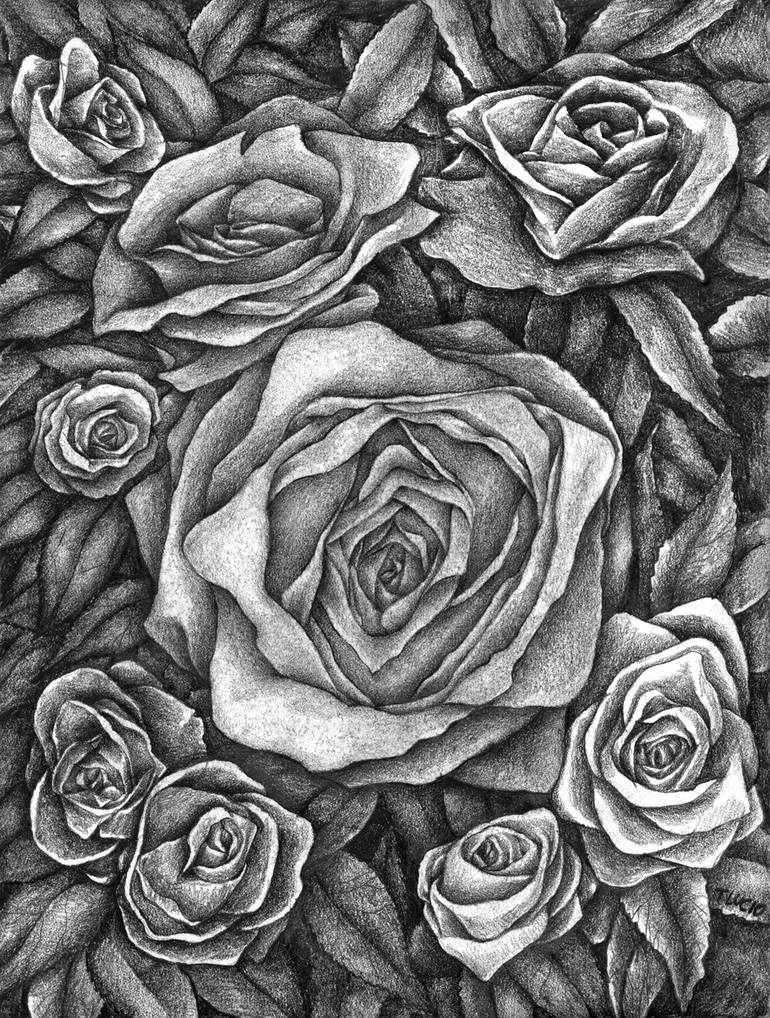 Graphite Roses Drawing by thomas lucio | Saatchi Art