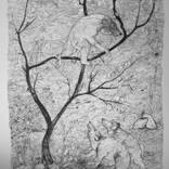 Collection New Drawings