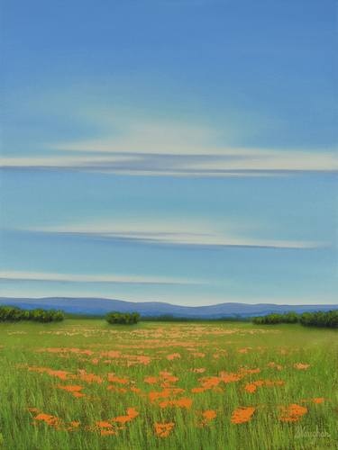 Blue Sky Poppy Field - Flower Field Landscape thumb